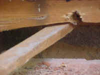 overholt_oldrebarpocket.jpg (49547 bytes)